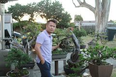 Hai khu vườn xanh mướt đẹp đến bất ngờ của ca sĩ Bằng Kiều và diễn viên Kim Hiền