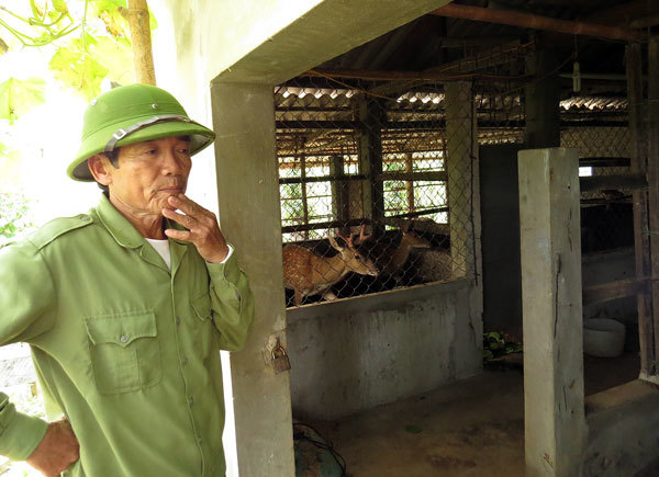 'Tui sợ nghèo', lão nông quyết thành tỷ phú