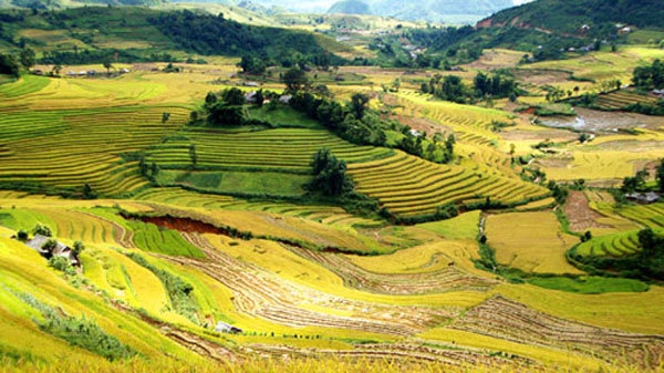 Lai Châu ưu đãi đặc biệt đầu tư vào nông nghiệp, du lịch