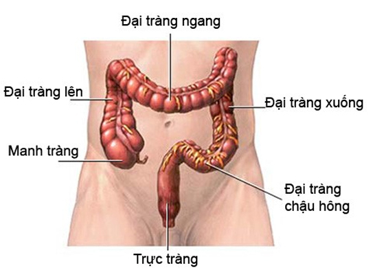 Cách kéo dài sự sống khi bị ung thư trực tràng