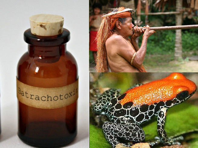 5 chất kịch độc đáng sợ nhất thế giới