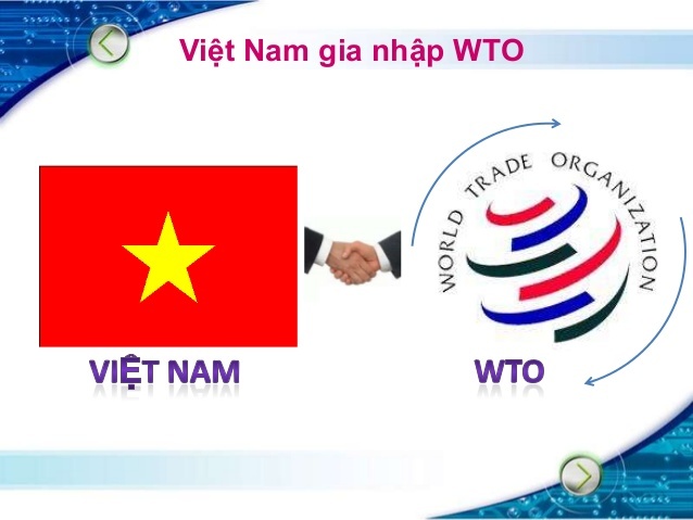 Việt Nam không tận dụng được cơ hội WTO?