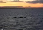 Quái vật hồ Loch Ness xuất hiện ngoài khơi đảo Wight?