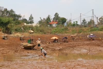 Hồ nước chết, hi sinh lúa cứu cà phê