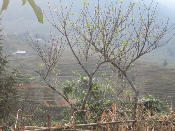 Không khí lạnh ảnh hưởng hết Đông Bắc Bộ, trời trở lạnh