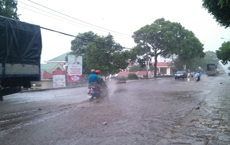 Xuất hiện “mưa vàng” giải nhiệt Tây Nguyên