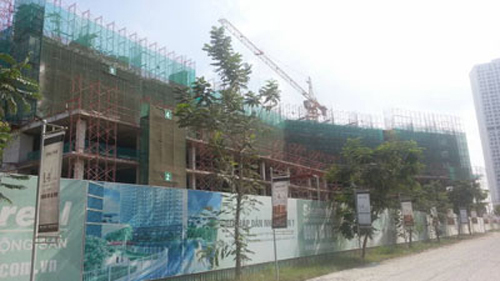 Dân chết vì “chim mồi