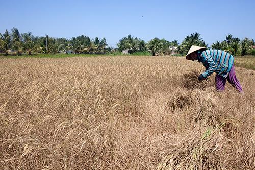 Không thể cứ ngửa mặt chờ