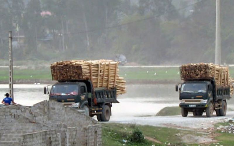 Xe quá khổ chạy lắc lư trên đường