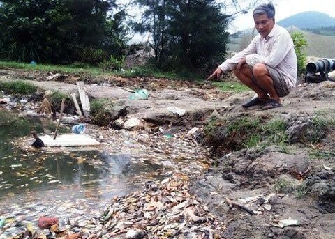 ‘Dân cứ yên tâm ăn cá’ và sự im lặng của cán bộ