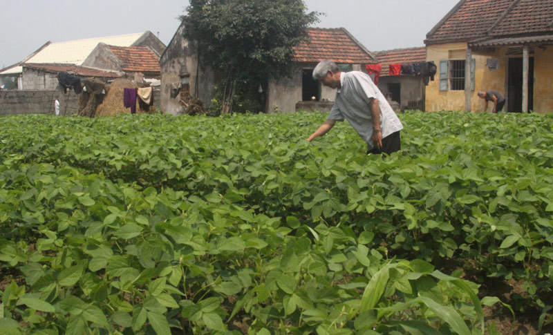 Không để đa cấp, hàng giả tràn về nông thôn