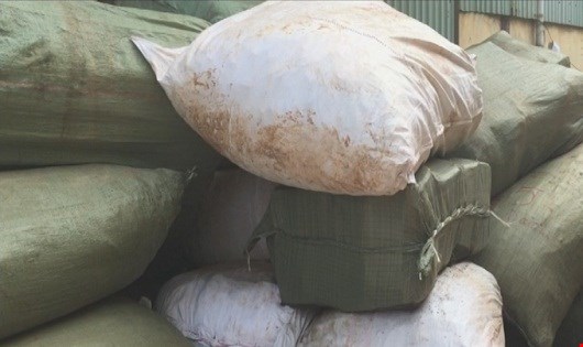 Thuốc Bắc tuồn về từ Trung Quốc, giá siêu rẻ