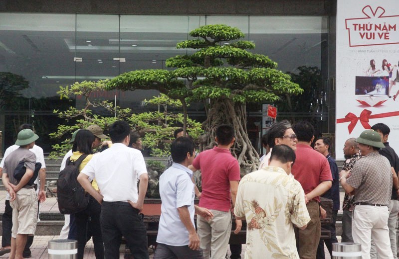 'Mâm xôi con gà': Siêu phẩm đình đám của đại gia vàng