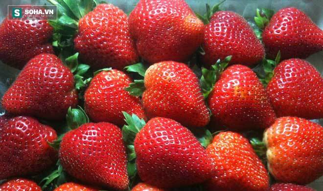 rau quả phun nhiều thuốc trừ sâu, rau quả phun ít thuốc trừ sâu, dâu tây, kiwi, bắp cải, rau quả