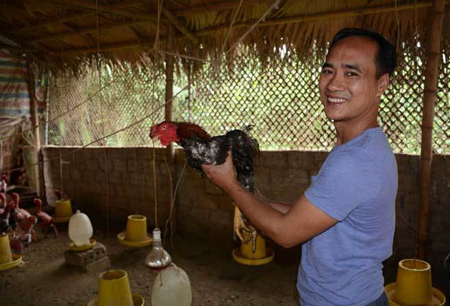 Bỏ giám đốc lên núi nuôi gà