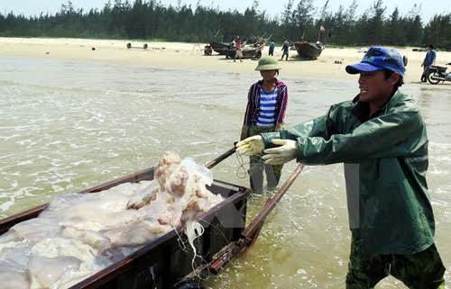 BIDV đề xuất tạm dừng tính lãi ngư dân 4 tỉnh