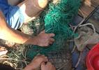 Cá sấu "khủng" dài gần 2m trên sông Soài Rạp đã sa lưới