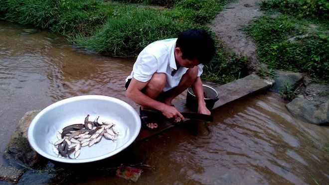 Giáo viên vùng cao lội suối bắt cá cải thiện bữa ăn