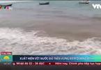 Giới khoa học khẳng định vệt nước đỏ ở vùng biển Quảng Bình là thủy triều đỏ