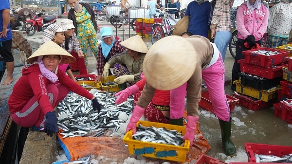 Định vị tọa độ hỗ trợ ngư dân đánh bắt xa bờ