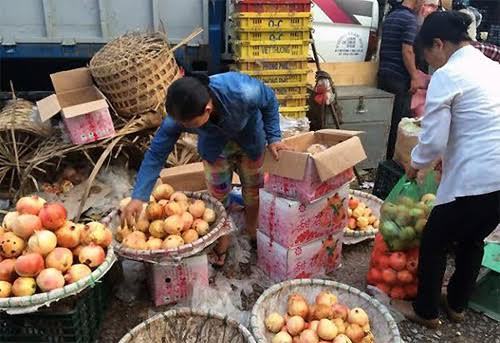 Tẩy chay hàng Tàu, ngàn tấn hoa quả TQ ai ăn hết?