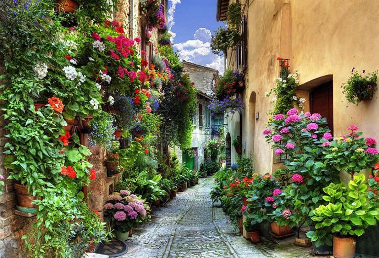 Những căn nhà tuyệt đẹp phủ đầy hoa khắp lối đi