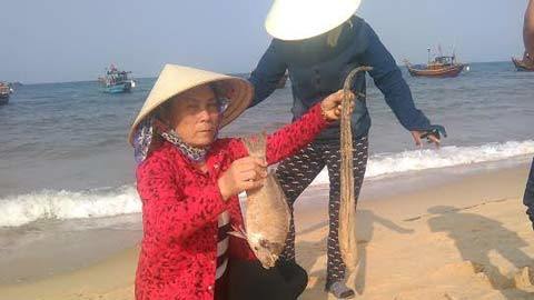 Quảng Bình vận động cán bộ mua hải sản