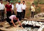 Dân nuôi cá mếu máo kể ‘dòng nước đen hôi’ sông Bưởi