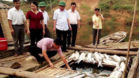 Dân nuôi cá mếu máo kể ‘dòng nước đen hôi’ sông Bưởi