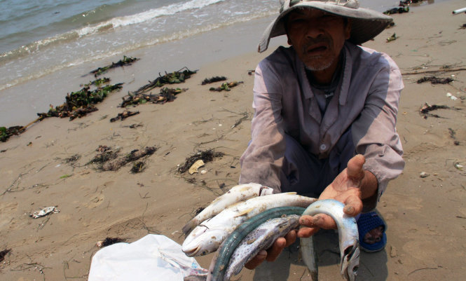 Cá chết, hạn mặn: Việt Nam khó chồng lên khó