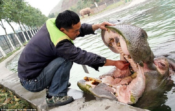 Những công việc nhàn hạ nhưng 'thách bạn dám làm'