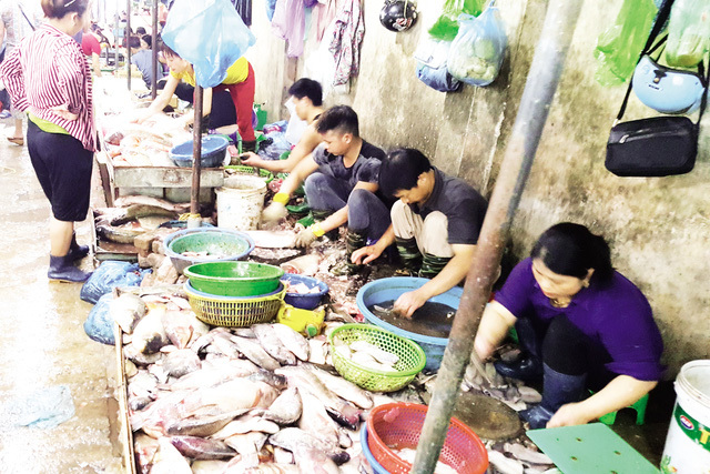 Tấp nập khách 'săn' cá ươn giá rẻ tại chợ thực phẩm Hà Nội