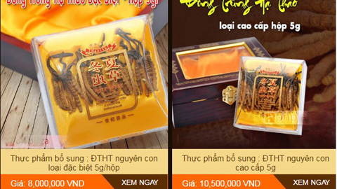 Chiêu tinh vi làm giả đông trùng hạ thảo
