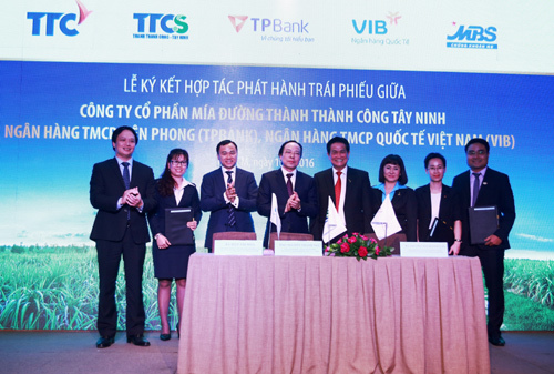 TPBank đầu tư vào ngành mía đường
