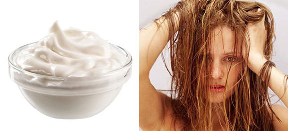 Sữa chua giúp trị gàu hiệu quả?