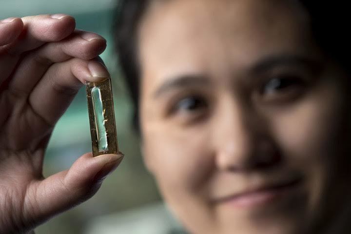 Cô gái Việt phát minh công nghệ pin siêu bền chấn động