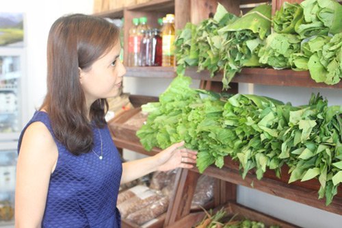 Bỏ việc ngàn đô ở Singapore, về quê trồng rau sạch