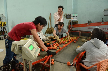 Lớp 8 chế máy nông nghiệp xuất khẩu, tiến sỹ ngồi máy lạnh chờ thời