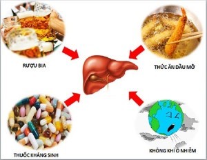 Chế độ ăn dành cho bệnh gan nhiễm mỡ