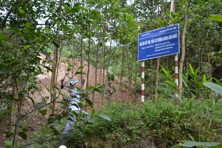 Honda VN góp sức phủ xanh đồi trọc Bắc Kạn