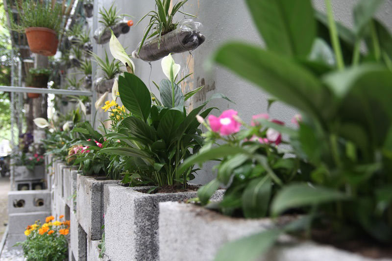 Chàng sinh viên biến bãi rác thành vườn hoa đẹp lung linh