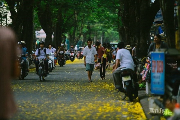 Lịch thi đấu bóng đá hôm nay 31/10