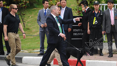 Chó nghiệp vụ cụt đuôi bảo vệ ông Obama tại VN