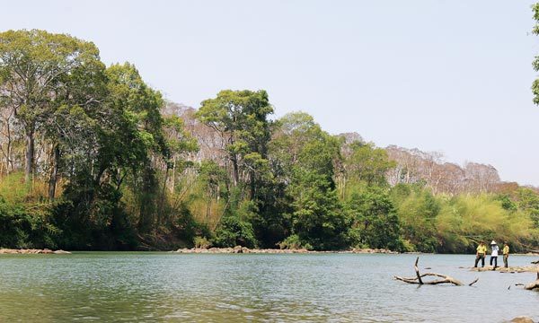 Không đổi rừng lấy thủy điện ở vườn quốc gia Yok Đôn