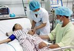 Cao Bằng: 7 trẻ tử vong bất thường do viêm não cấp