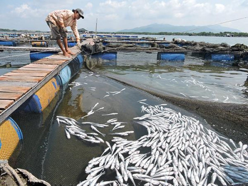 Hồ 10 ha xả lũ, ngăn mặn thành nơi chứa nước thải