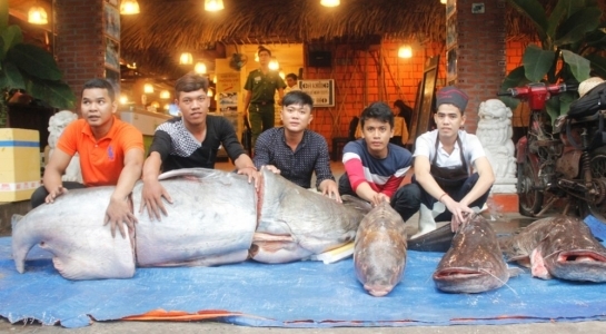 Đại gia Sài Gòn xẻ thịt 'thủy quái' Campuchia dài 2,2 mét