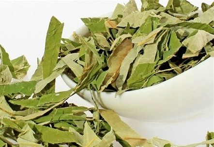 lá sen khô hỗ trợ điều hoà huyết áp