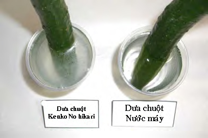 4 bước làm sạch thực phẩm của người Nhật