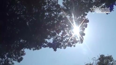 Những hình ảnh chỉ có trong ngày nắng nóng